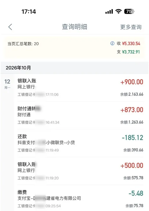 手机银行查询明细页截图：顶部标题查询明细，右上角更多查询，黄色提示行写当页汇总笔数: 20，右侧两行收 ¥5,330.54、支 ¥3,732.91，下面分组 2026年10月，第一条 12日 银联入账、网上银行、工银借记卡（卡号后段已打码）、17:11:06、右侧 +900.00、余额2,163.66，往下依次是一条转账收入 +873.00、一条还款支出 -185.12（名称已打码）、另一笔银联入账 +500.00、缴费 -5.48，每条下面都带时间与余额