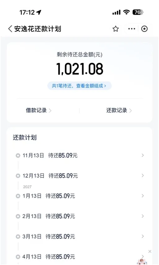 安逸花还款计划页截图：顶部标题安逸花还款计划，第一张卡片写剩余待还总金额(元) 与大号数字 1,021.08，下面一行共1笔待还、查看金额组成，再往下借款记录与还款记录两个入口，第二张卡片标题还款计划，逐行写 11月13日 待还85.09元、12月13日 待还85.09元，跨年处标 2027，再往下 1月13日、2月13日、3月13日、4月13日 每行同样写待还85.09元