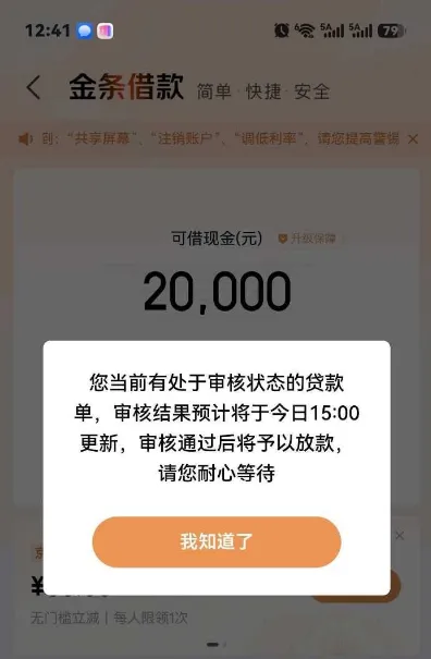 网友实测记录：京东金条可取现金 20,000 元，弹窗提示审核结果预计当日 15:00 更新